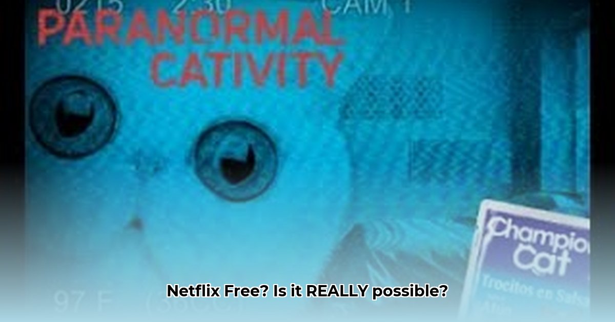catflix-su